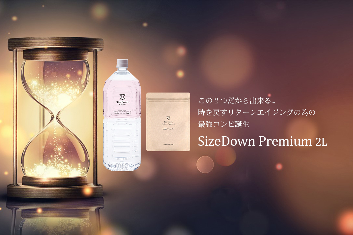 SizeDown Premium 2L