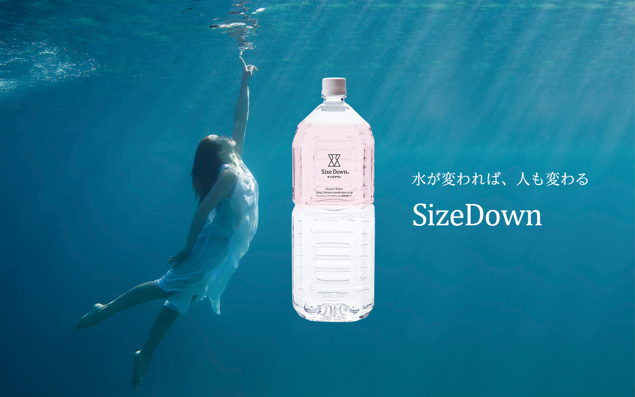 SizeDown 2L（6本）