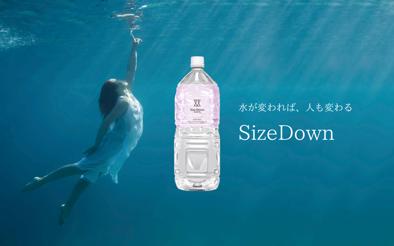SizeDown 2L（6本）