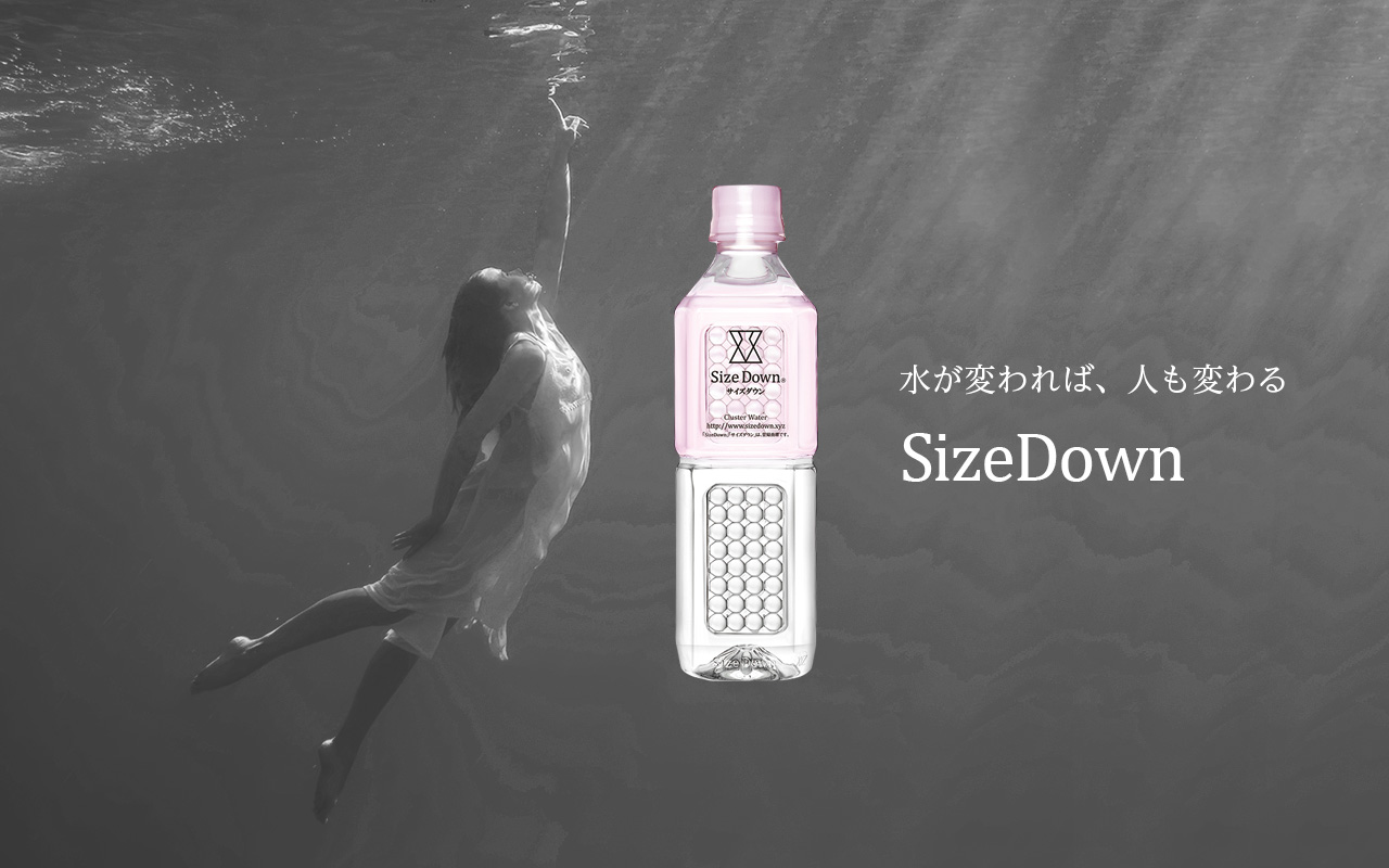 SizeDown 500ml（24本）