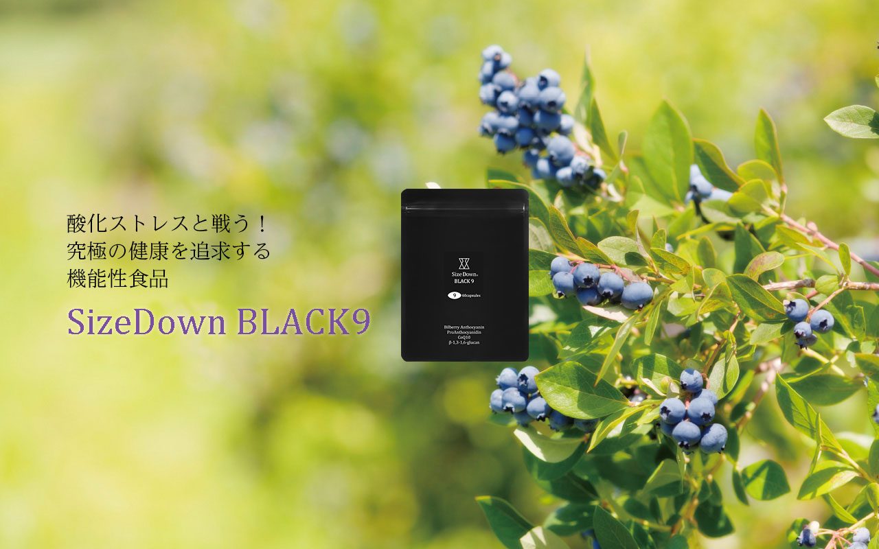 SizeDown BLACK9